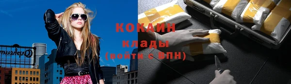 крисы Куйбышев