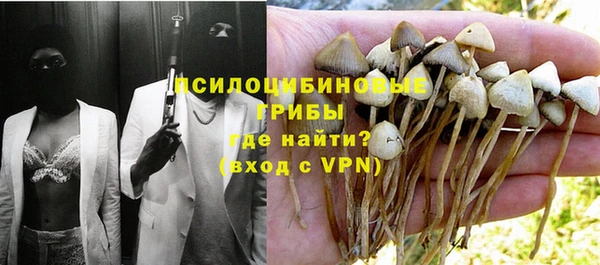 эйфоретик Кулебаки