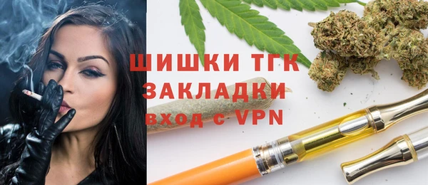 дживик Богородицк