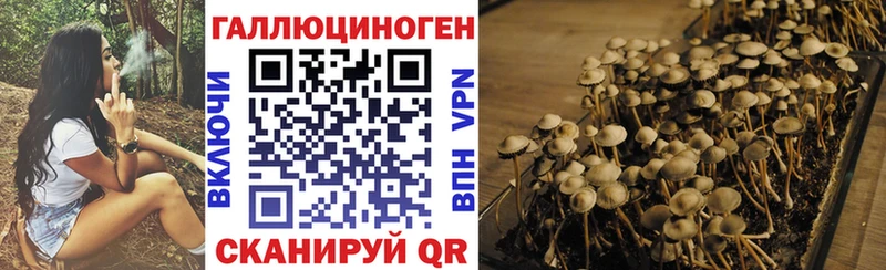 цены   MEGA зеркало  Галлюциногенные грибы Cubensis  Новокузнецк 