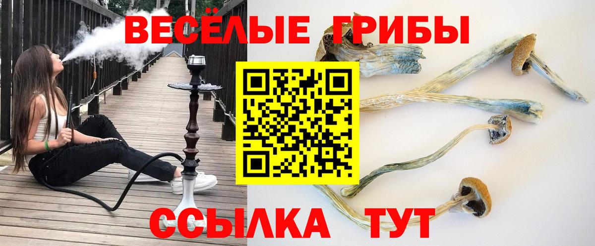 Галлюциногенные грибы MAGIC MUSHROOMS  Вход с VPN  Новокузнецк  Псилоцибиновые грибы мицелий 