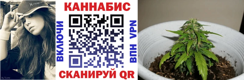Конопля план  Новокузнецк 
